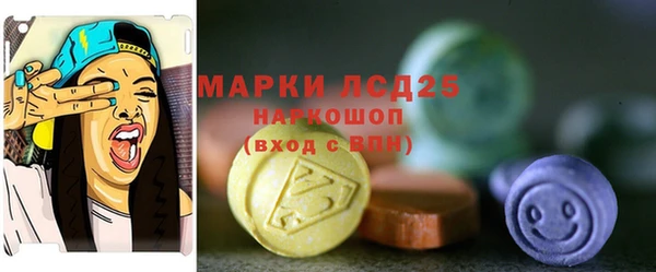 индика Алзамай