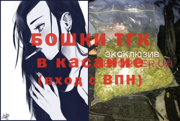 гашик Алексеевка