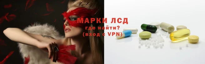 индика Алзамай
