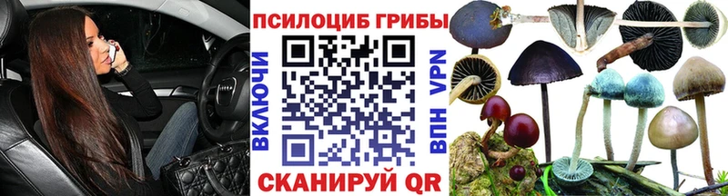 Галлюциногенные грибы Psilocybine cubensis  маркетплейс состав  Иланский 